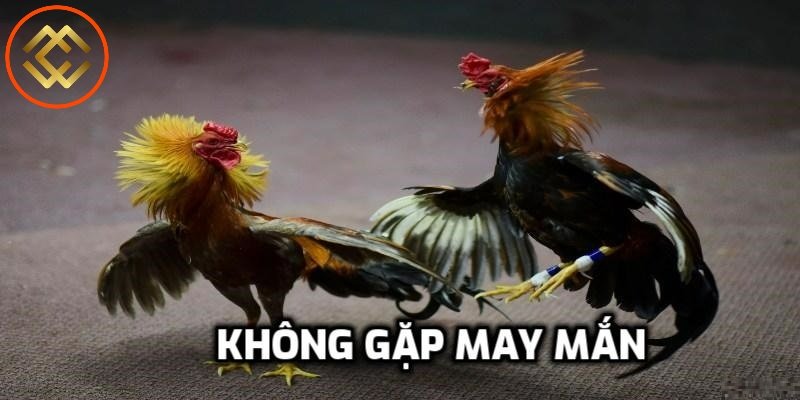 Do không gặp may mắn