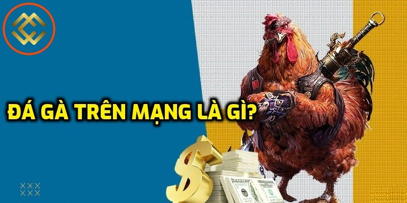 Tìm hiểu rõ hơn về đá gà trên mạng